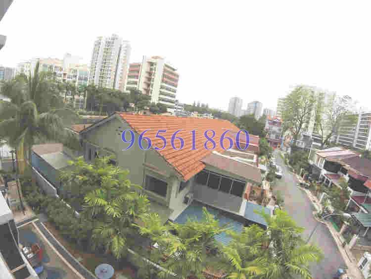 Rio Gardens (D12), Apartment #169050632